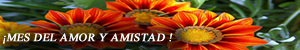 Amor y Amistad