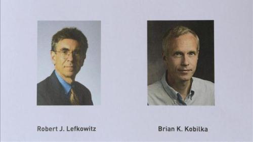 Robert Lefkowitz y Brian Kobilka consiguieron el Nobel de Química ...