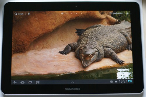 SONY DSC