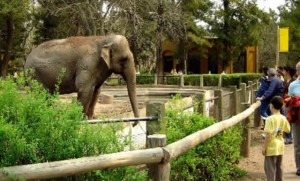 zoologico de Barranquilla