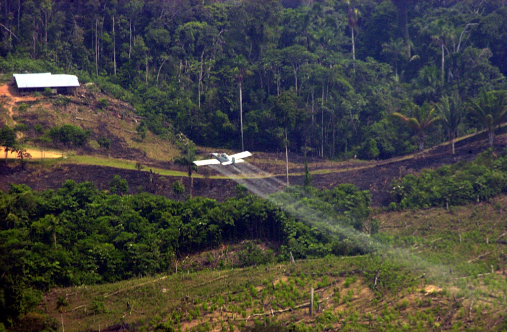 bigwood_colombia090
