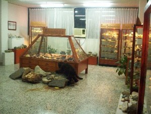 MUSEO GEOLOGICO DE PETROLEO