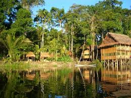 amazonas