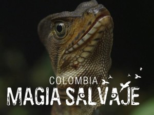 COLOMBIA MAGIA SALVAJE