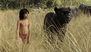 EL NUEVO LIBRO DE LA SELVA