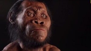 Homo Naledi