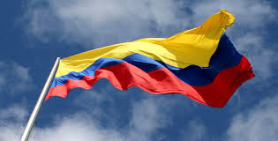 descarga (2)