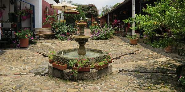 IMAGEN-16562992-2