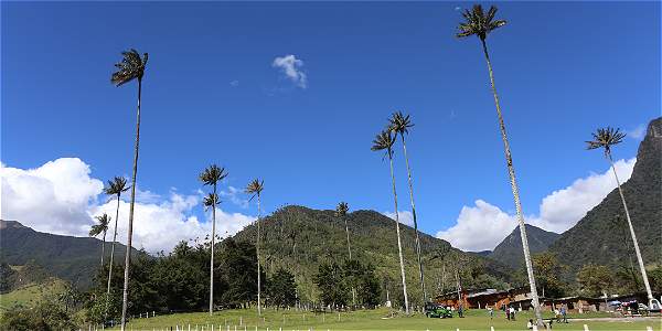 IMAGEN-16587798-2
