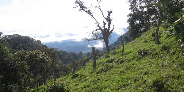 IMAGEN-16588245-2