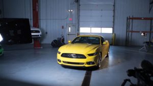Mustang-