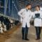 El papel estratégico del zootecnista en la seguridad alimentaria y producción sostenible