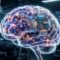 El paÃs que domina el 80% de los paneles solares acaba de aprobar también el primer chip cerebral del mundo