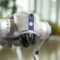 Terremoto en Colombia: ¿Los perros robots pueden ayudar a encontrar sobrevivientes entre los escombros?