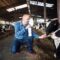 Día Nacional del Ganadero: tecnología, trazabilidad e innovación impulsan la eficiencia de la producción de leche y carne en Colombia